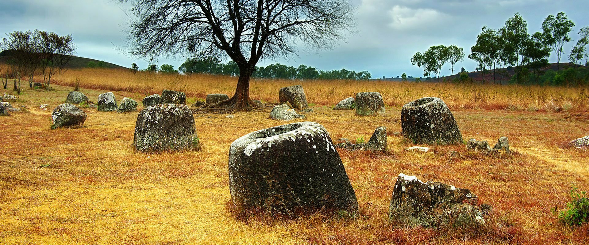 plaine des jarres vietnam