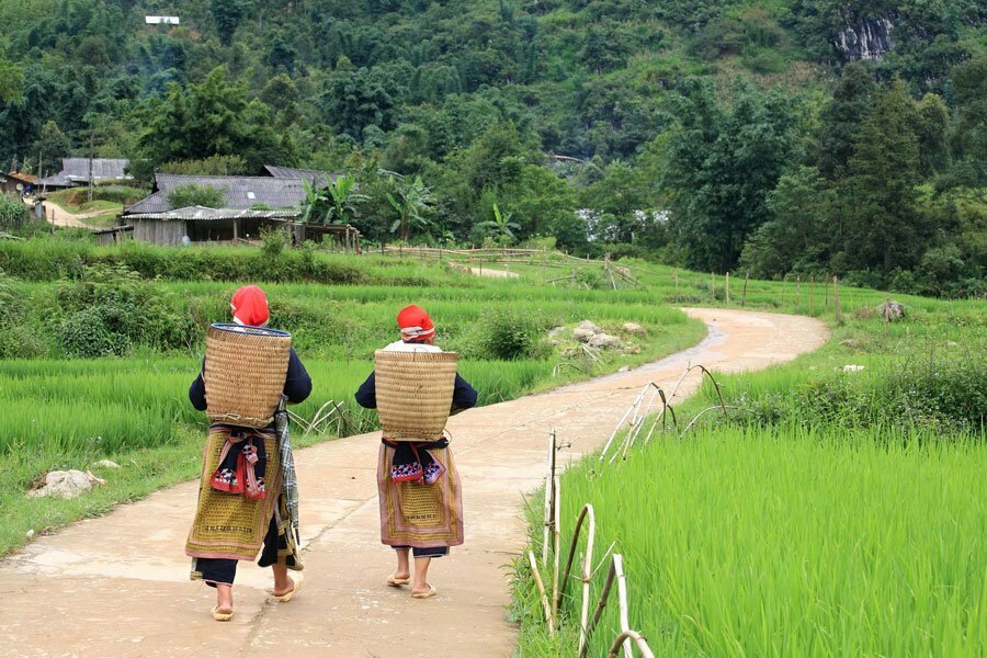 sapa, femmes Hmong sur la route entre deux rizières