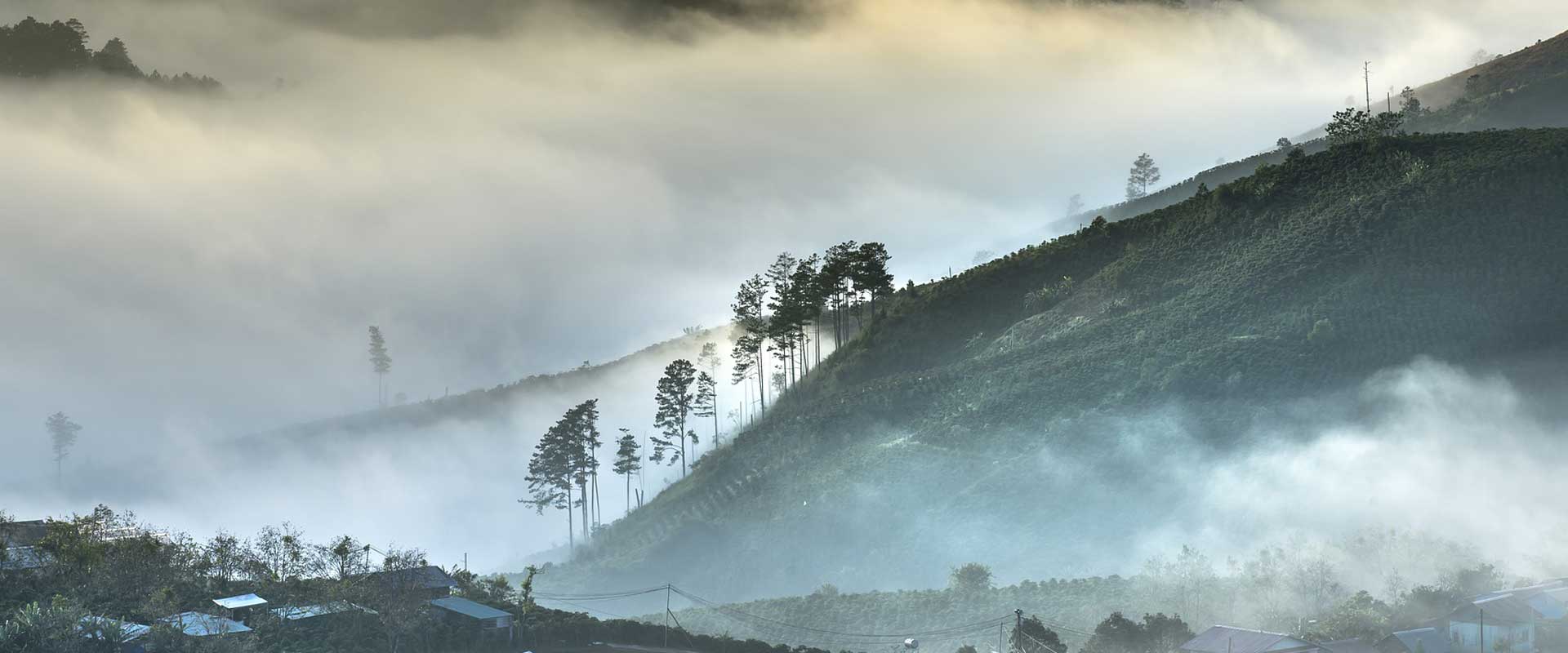 forêt et montagne au Vietnam