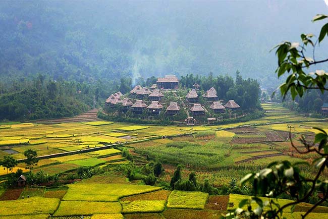 Mai Chau