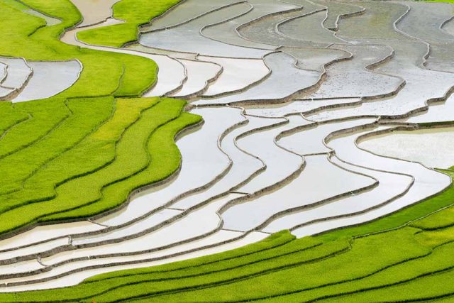 Mu Cang Chai Vietnam