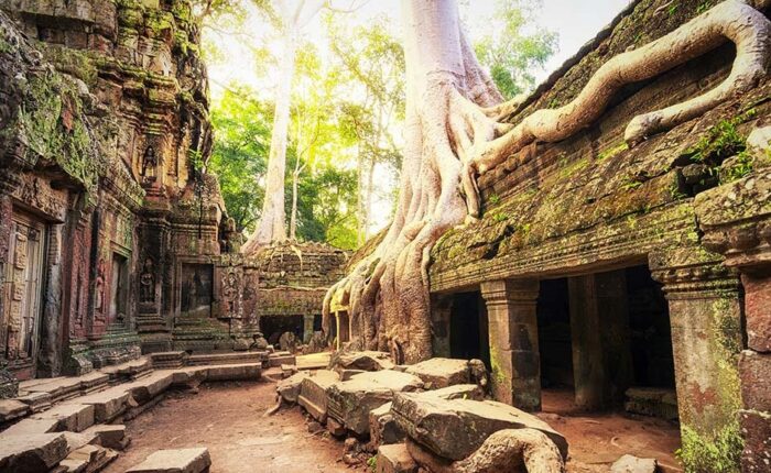 Ta Prohm