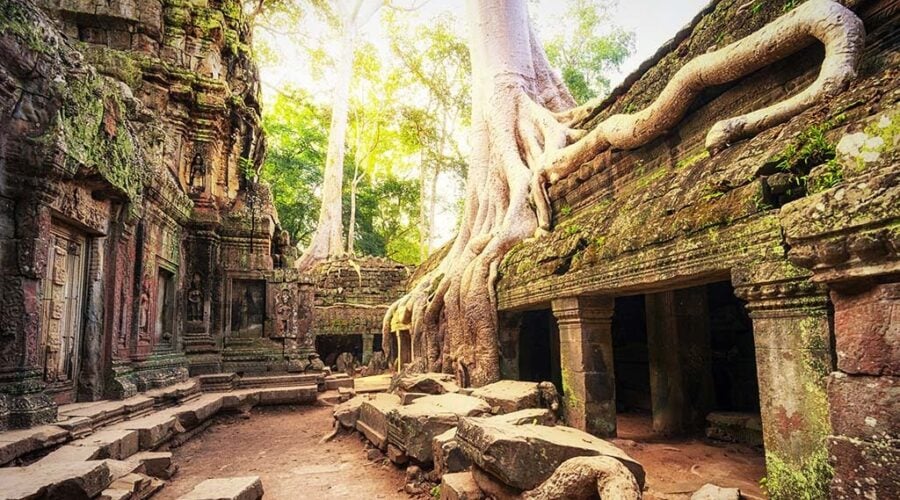 Ta Prohm
