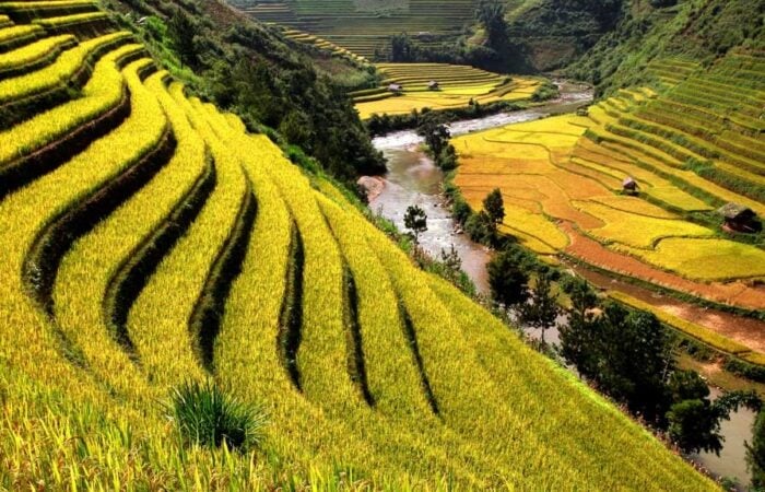 Sapa, circuit Vietnam 15 jours, quand partir au Vietnam