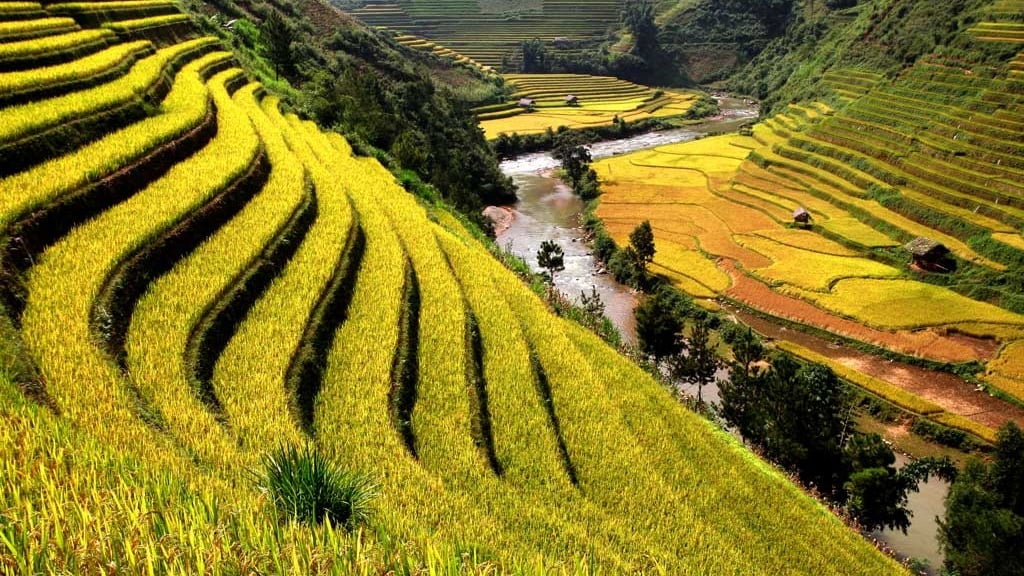 Sapa, circuit Vietnam 15 jours, quand partir au Vietnam