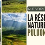 Que faire à Pu Luong