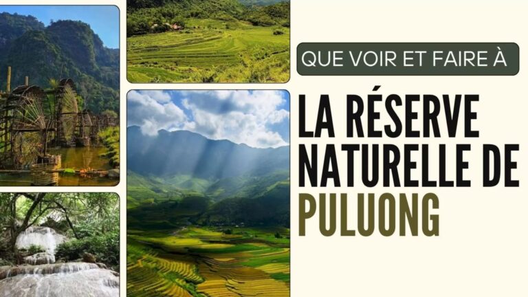 Que faire à Pu Luong