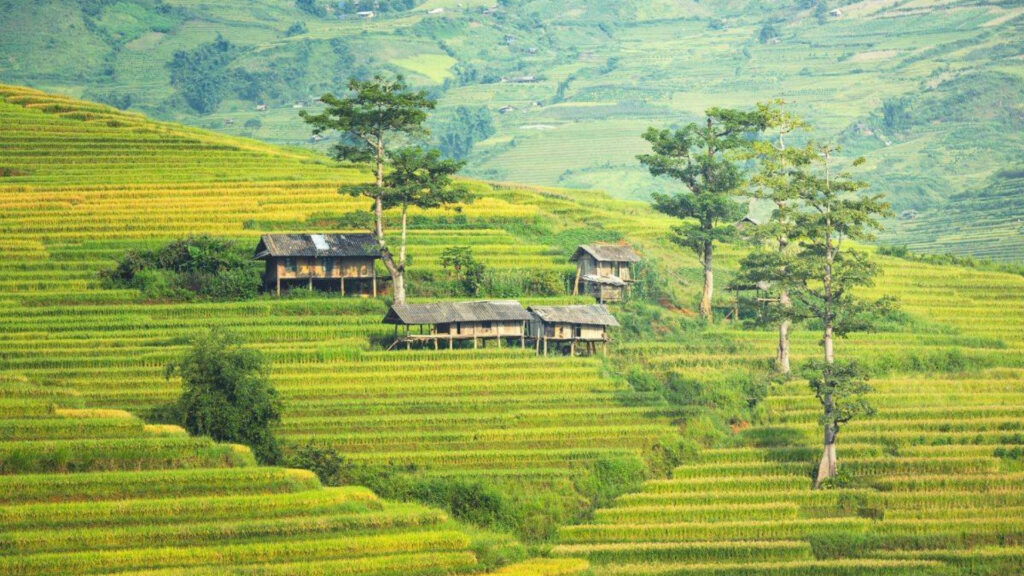 Sapa village Vietnam