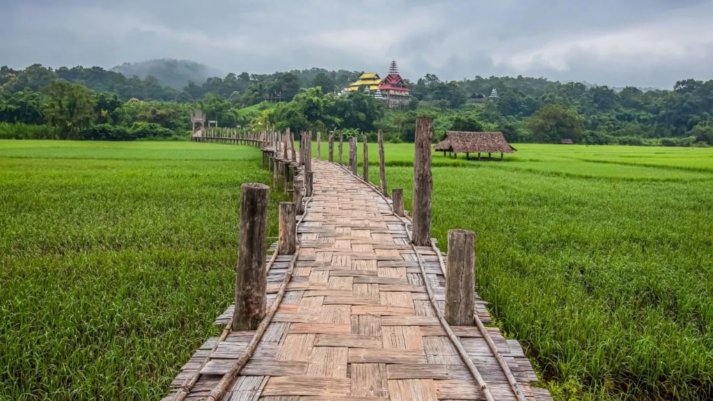 Pont de bambou Su Tong Pae