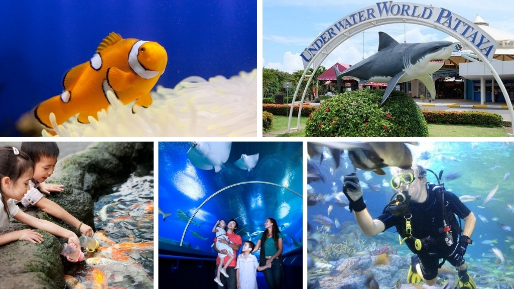 Underwater World Pattaya 