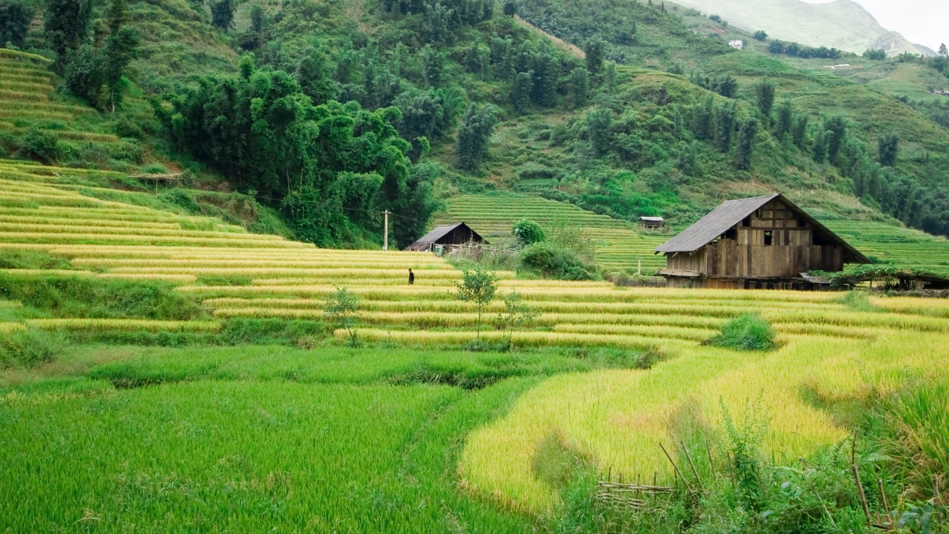 Sapa village Vietnam