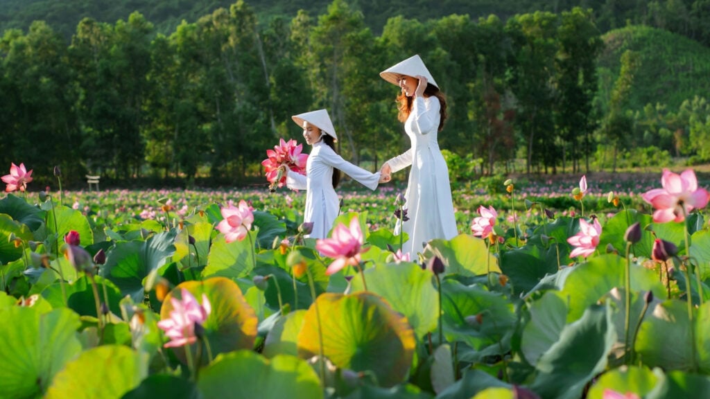 Voyage Au Vietnam En Janvier