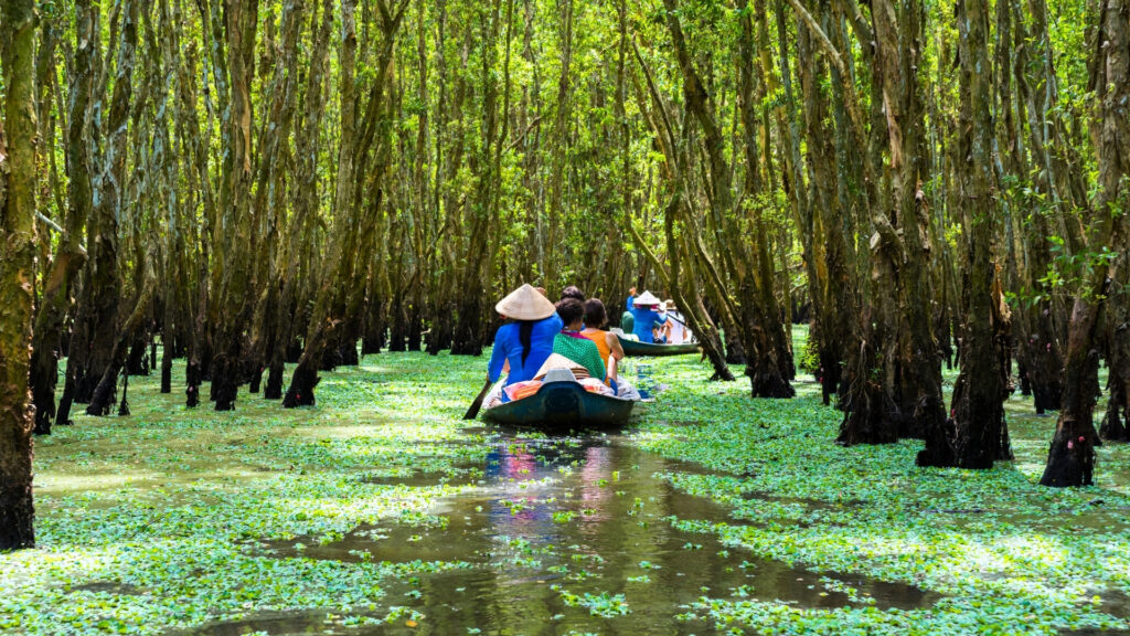Que Voir Et Faire Au Delta Du Mékong