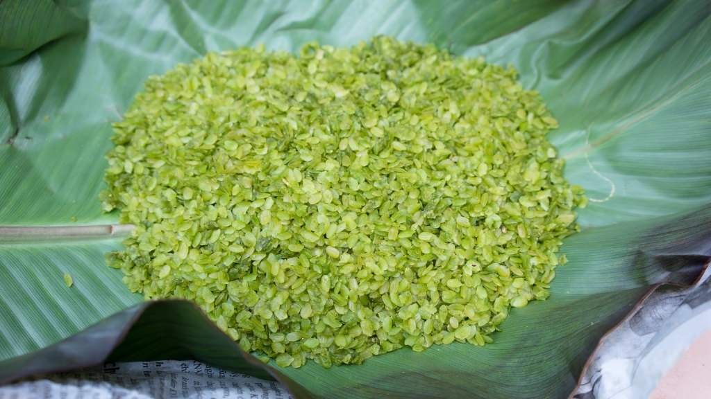 Riz gluant de Tu Le (Com Tu Le)