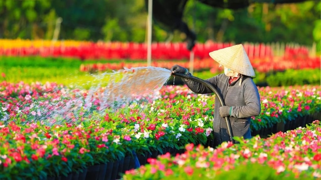 Que voir et faire au Delta du Mékong - vietnam dong thap la ville de sa dec 1024 La ville de Sa Dec