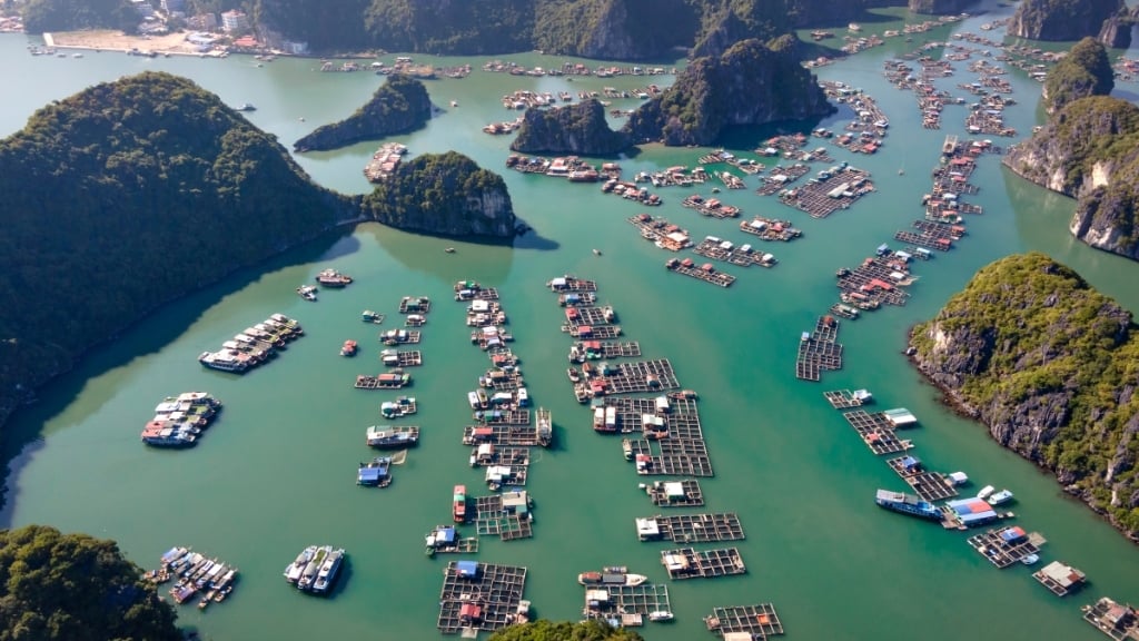vietnam-halong-lile-de-cat-ba