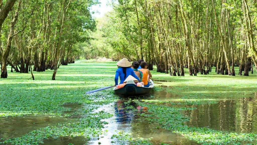 Meilleurs circuits au Vietnam pour couples à découvrir - vietnam mekong foret de cajeput 1024 Forêt de Cajeput à An Giang-Delta Du Mékong
