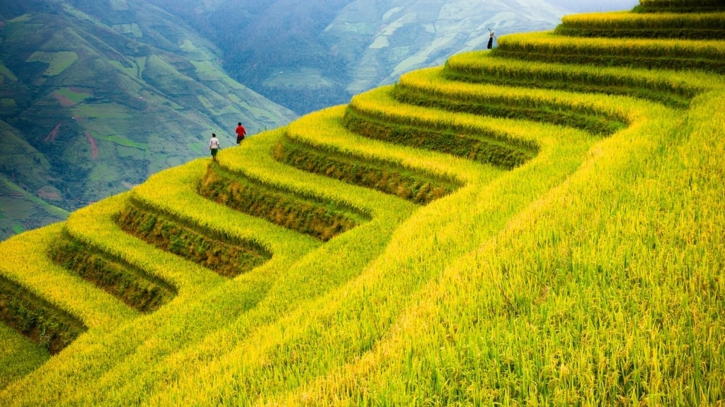 Les 18 plus beaux sites à visiter au Vietnam - vietnam mu cang chai riziere en terasse 1024 Que voir et faire à Mu Cang Chai