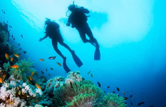 Plongée à Phu Quoc - faire à Phu Quoc