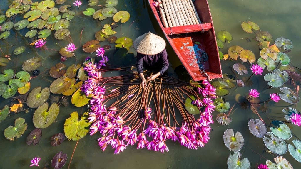 Itinéraire Vietnam 21 jours - Ninh Binh