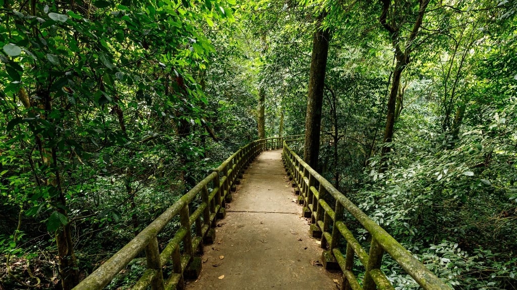 Où faire de la randonnée au Vietnam ? - vietnam ninh binh parc national de cuc phuong 1024 Parc national de Cuc Phuong