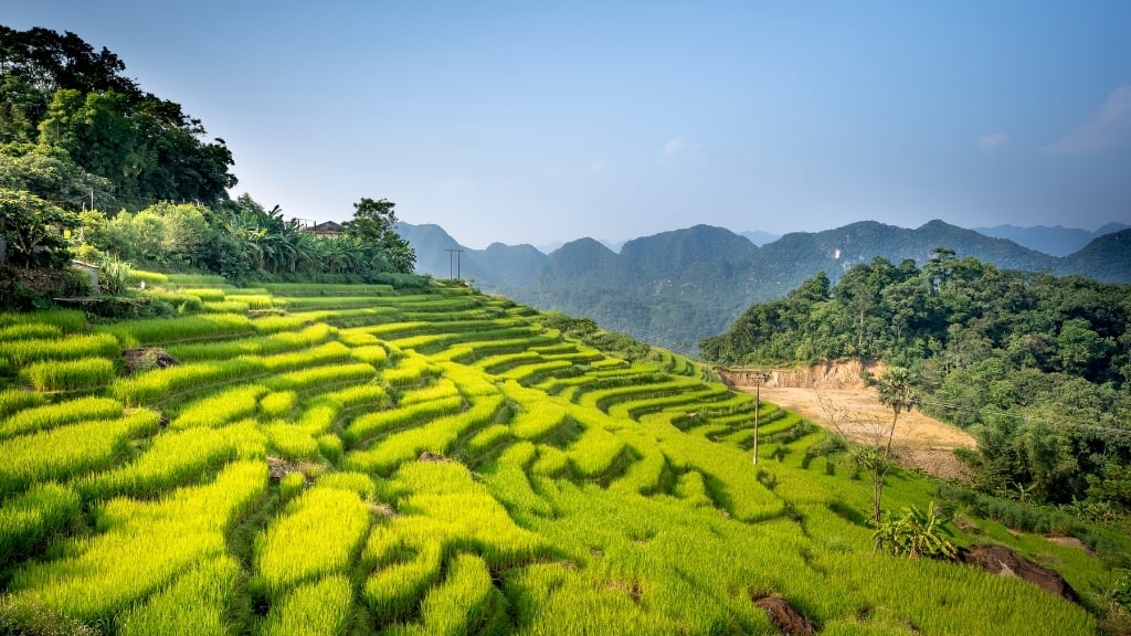 Meilleurs circuits au Vietnam pour couples à découvrir - vietnam pu luong don village 1024 1 Voyage à Pu Luong