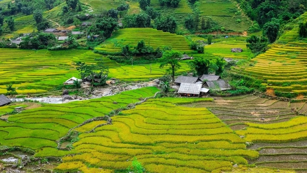 Village de Ta Van, faire à Sapa