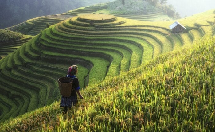 Voyage au Vietnam du Nord-Thanh Kim vallée