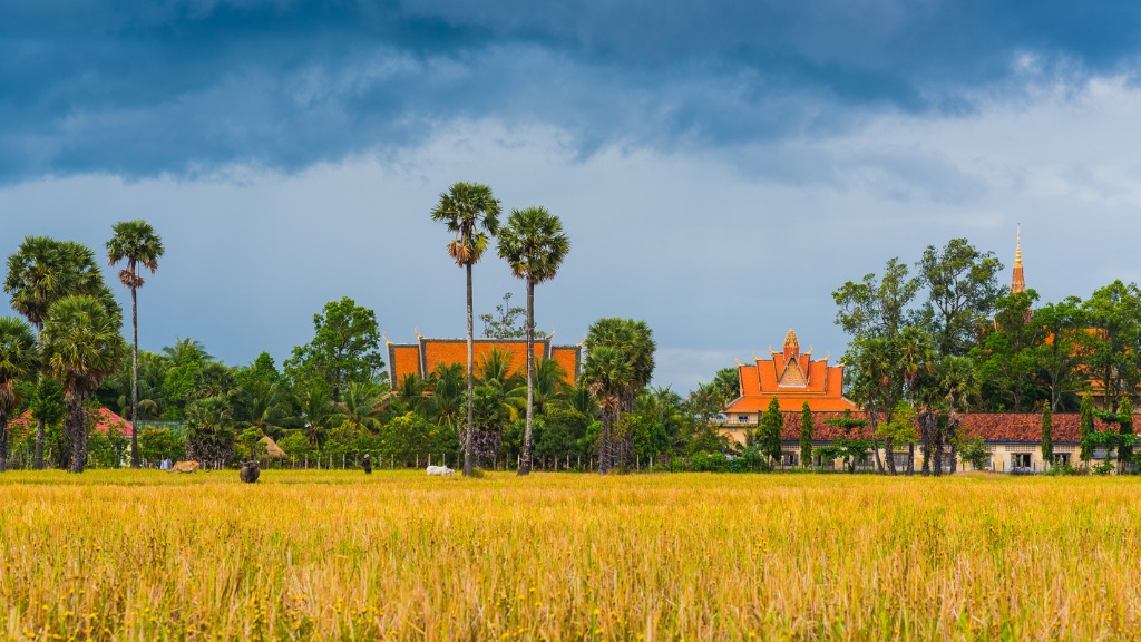 Activités au Cambodge-Vie de village au Cambodge