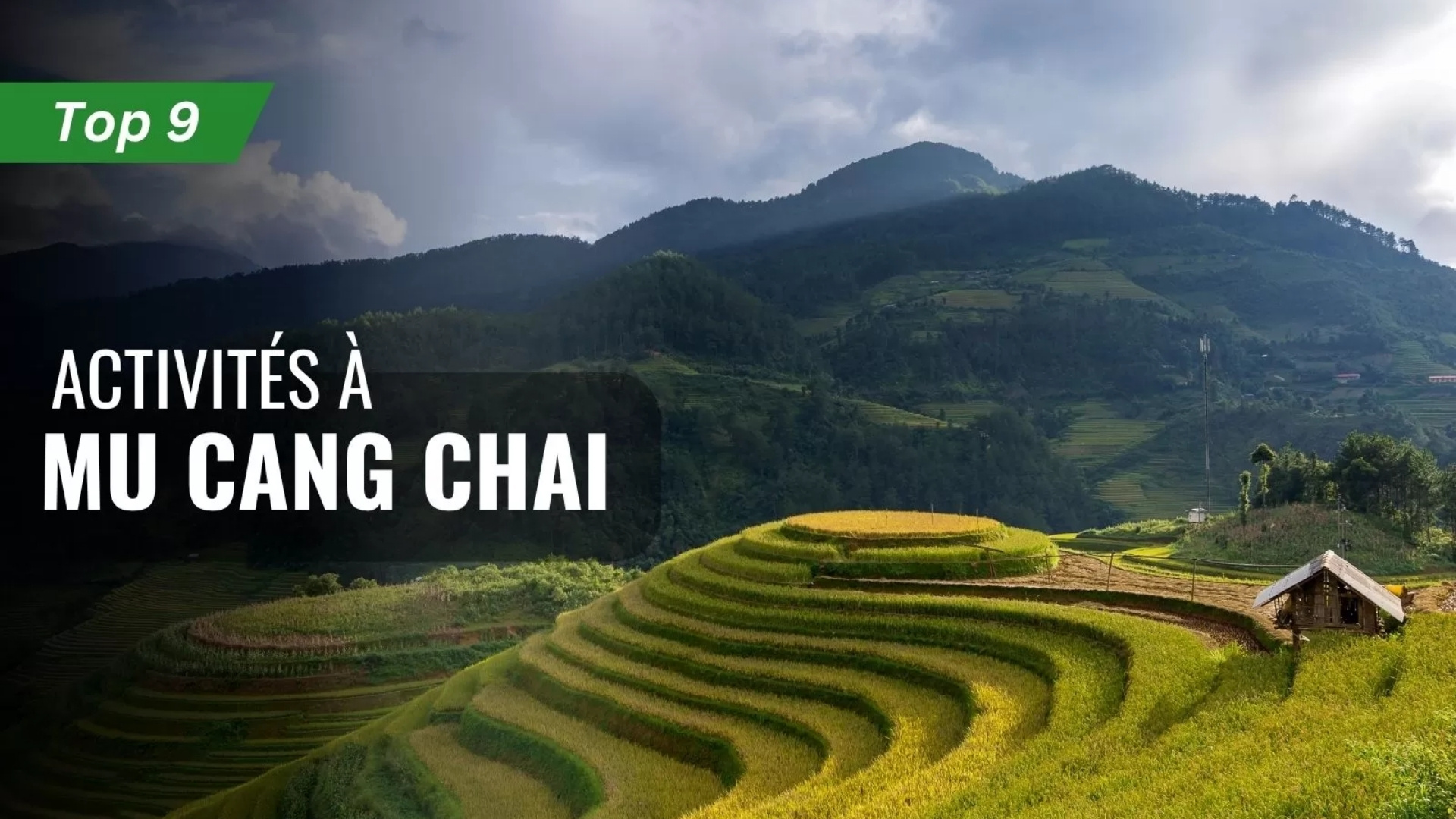 Top 9 activités à Mu Cang Chai