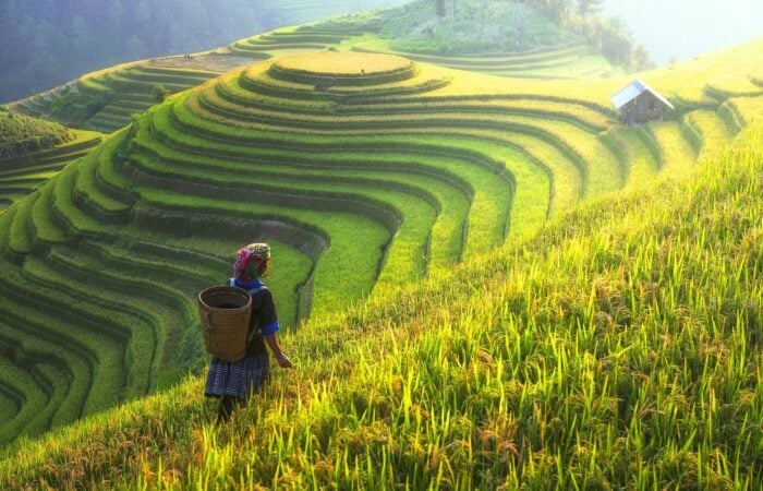 Comment organiser circuit Vietnam 15 jours