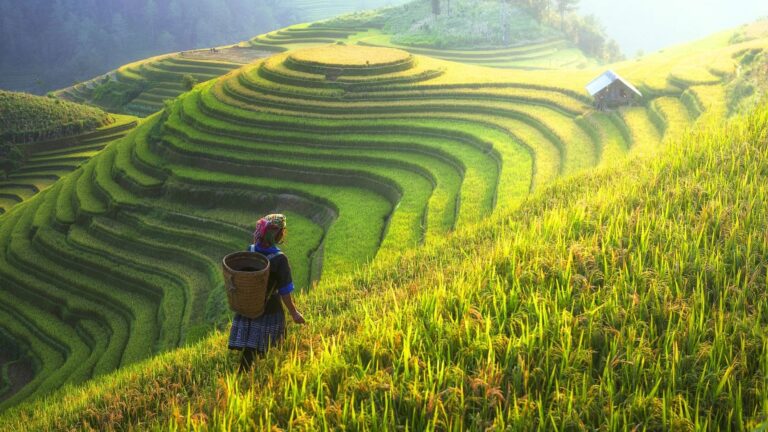 Comment organiser circuit Vietnam 15 jours