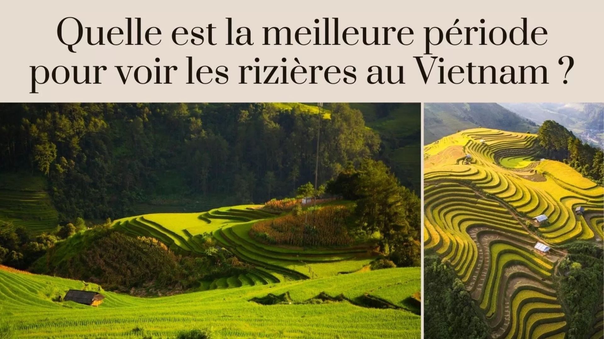 Quelle est la meilleure période pour voir les rizières au Vietnam ?