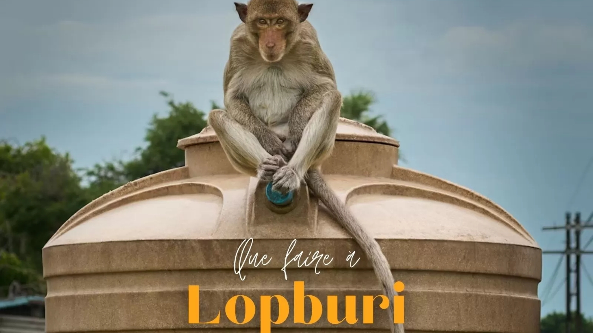 Featured que voir et faire à Lopburi