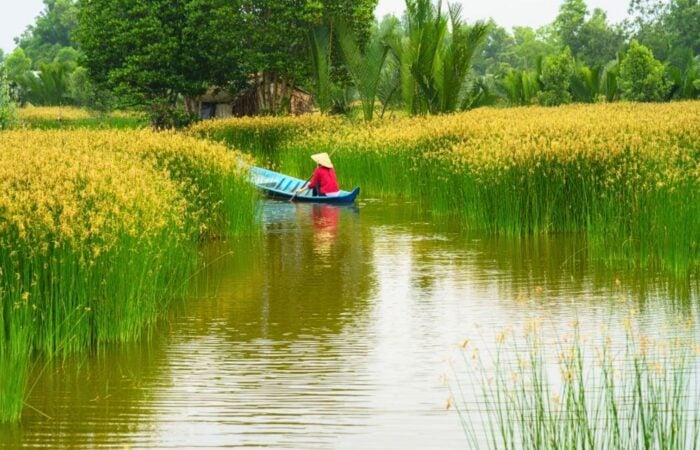 Sur Les Eaux Du Delta Du Mekong
