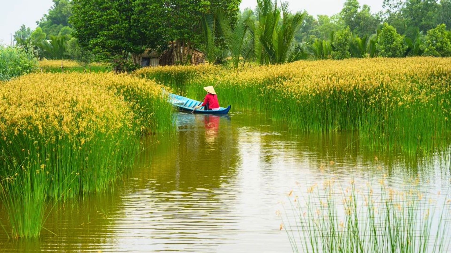 Sur Les Eaux Du Delta Du Mekong