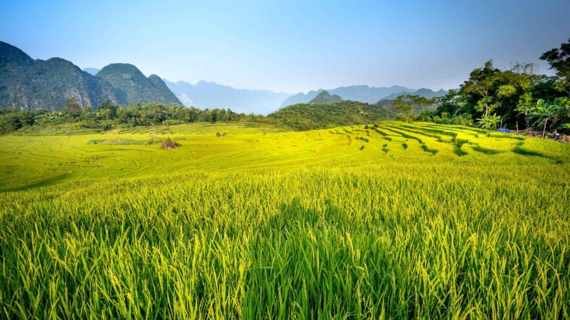 Top 10 Choses à Voir Et Faire à Pu Luong