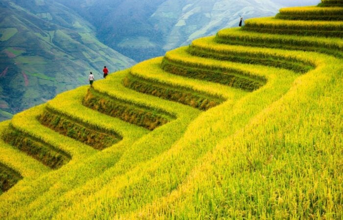 Voyage Au Vietnam En 2026: Les Raisons Pour Un Voyage Mémorable