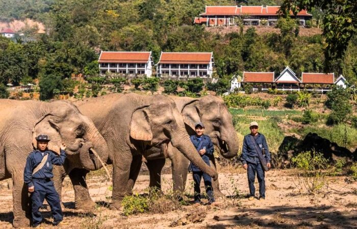 Sanctuary Pakbeng Lodge