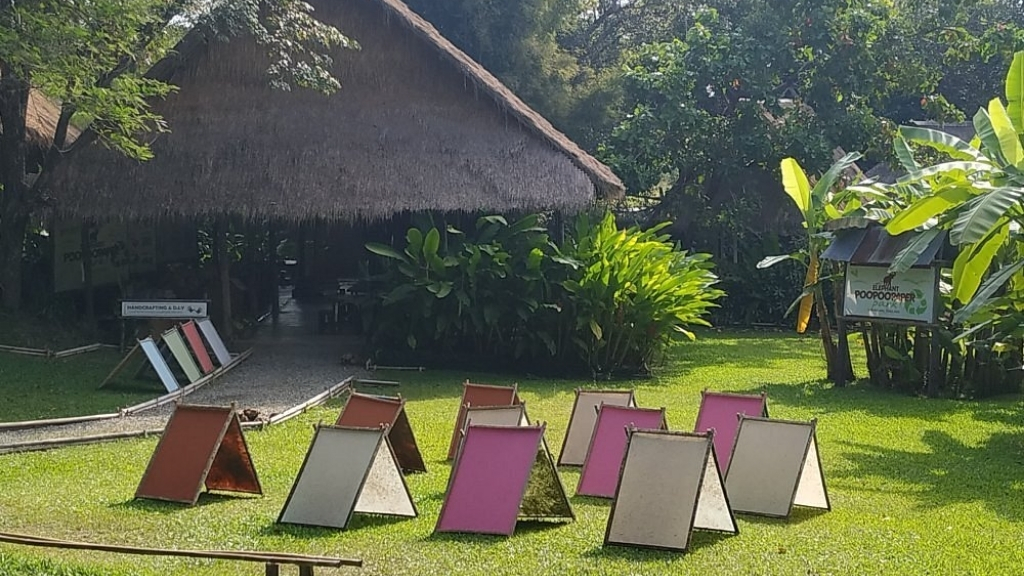 thailande chiang mai parc delephants poopoopaper 1024 - Top 9 les plus beaux temples à voir à Chiang Mai