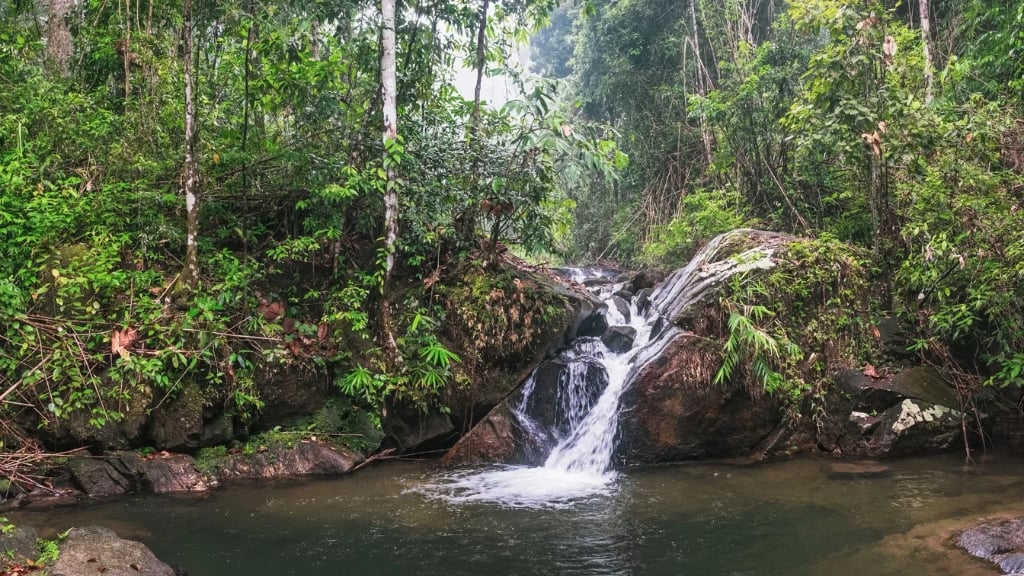 que faire à Khao Lak : Parc national de Khao Lak - Lam Ru