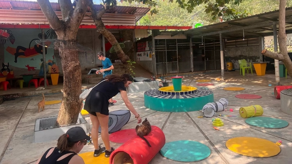 Lanta Animal Welfare - Koh Lanta en 3 jours