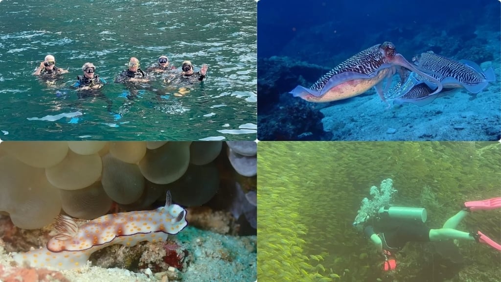 Plongée à Koh Lanta