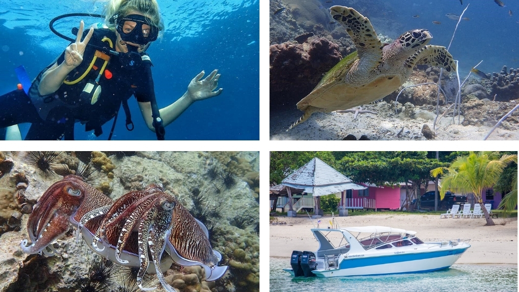 thailande koh yao yai elixir divers 1024 - Que faire à Koh Yao Yai