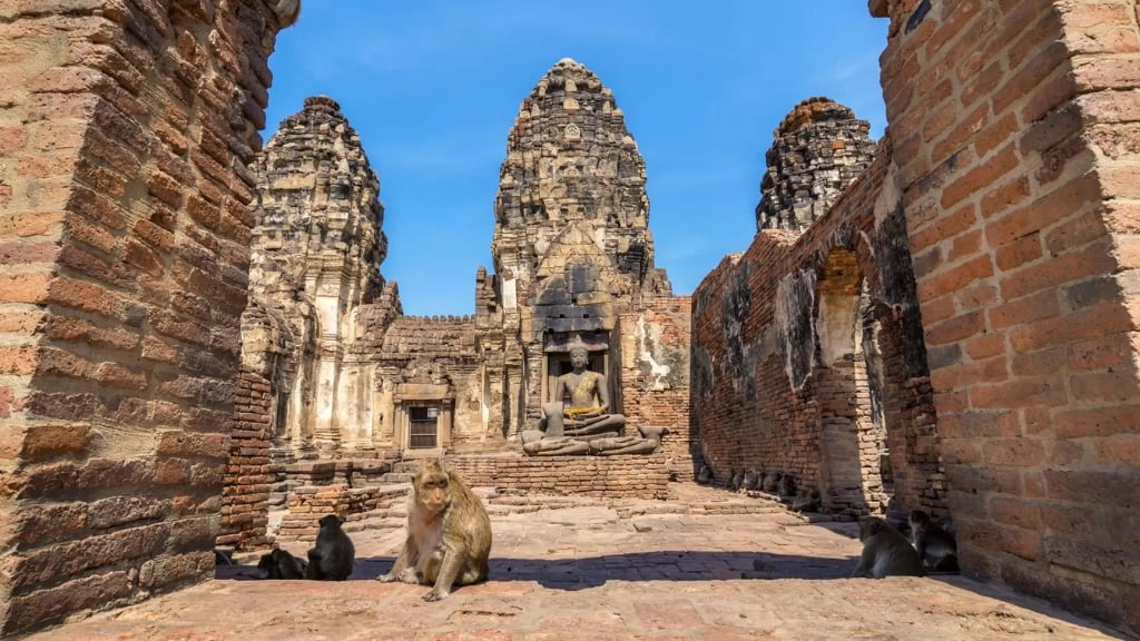 Que faire à Lopburi : Temple des singes Lopburi