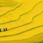 10 raisons irrésistibles pour un « voyage au Vietnam circuit »