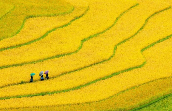 10 raisons irrésistibles pour un « voyage au Vietnam circuit »