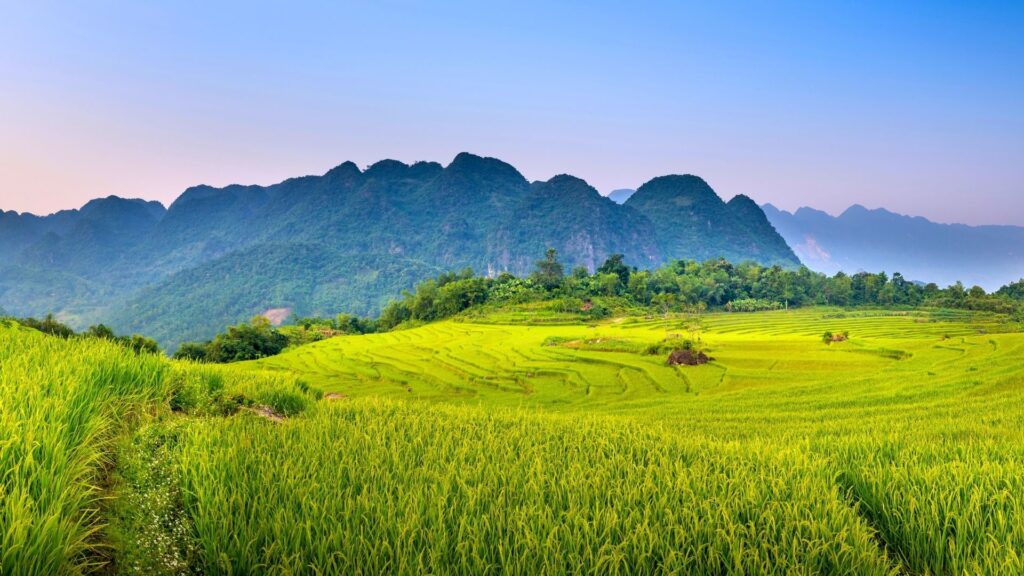 Conseils pour un voyage inoubliable à Pu Luong