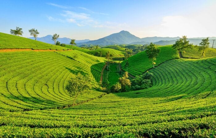 Voyage Au Nord Du Vietnam