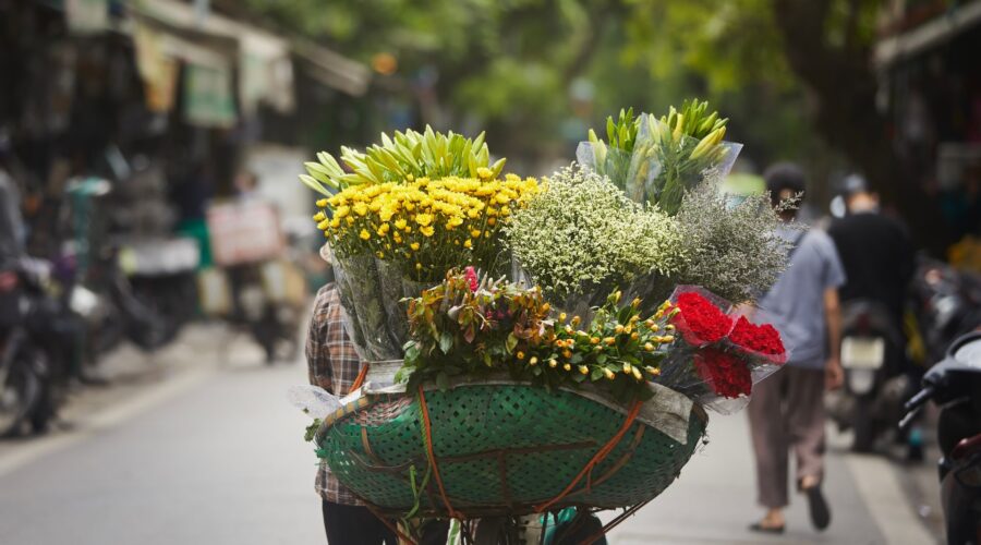 Quand partir à Hanoï : Conseils pour choisir le moment idéal